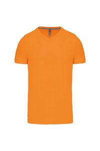 T-shirt Kariban V-hals Heren